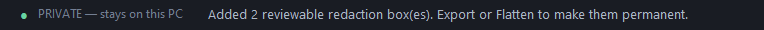 The CopyThat status bar reading: PRIVATE — stays on this PC. Added 2 reviewable redaction box(es). Export or Flatten to make them permanent.